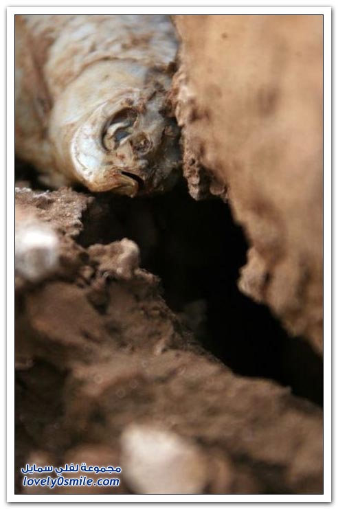 Drought-in-China-36.jpg