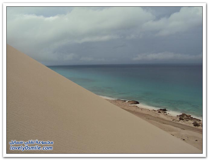   Socotra-Island-15.JPG