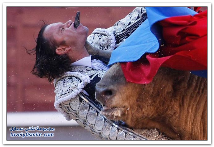 صور الإصابة التي تعرض لها الإسباني خوليو أباريسيو في مسابقة مصارعة الثيران