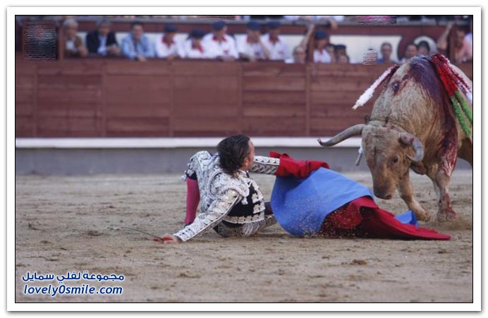 صور الإصابة التي تعرض لها الإسباني خوليو أباريسيو في مسابقة مصارعة الثيران