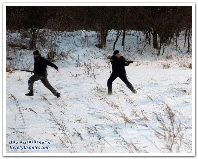 صور الهروب من الدب