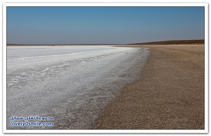 بحيرة في روسيا شارفت على الجفاف