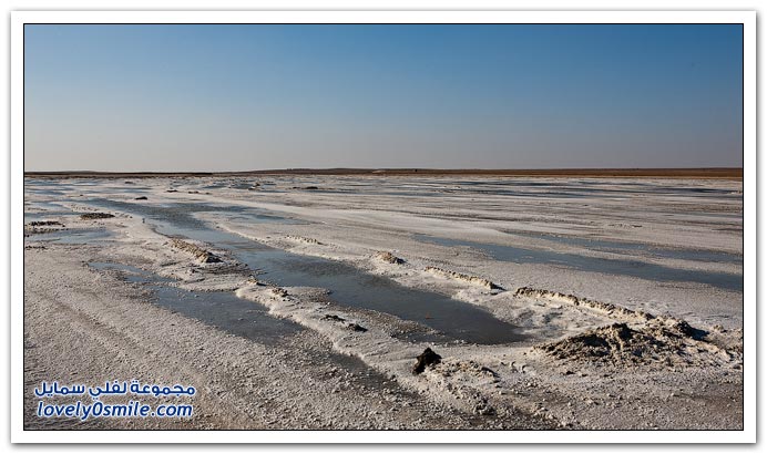 بحيرة في روسيا شارفت على الجفاف