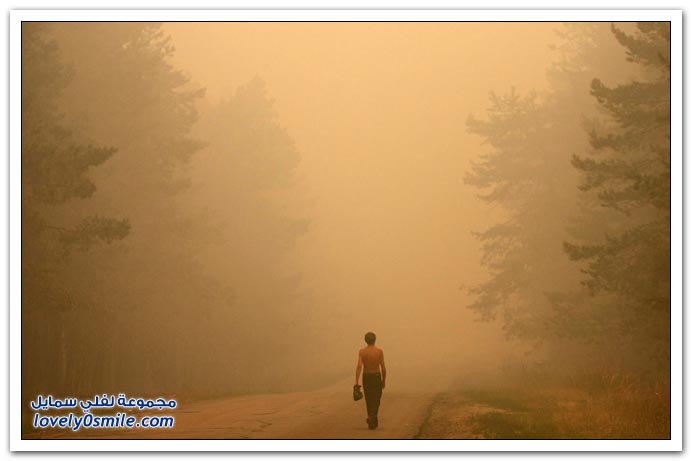 صور من حرائق الغابات في روسيا