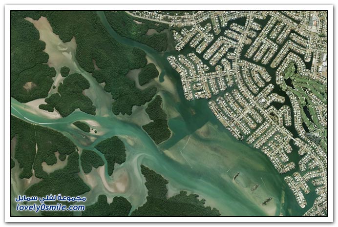 صور مسطحات بشكل فني في جوجل صورت في فلوريدا