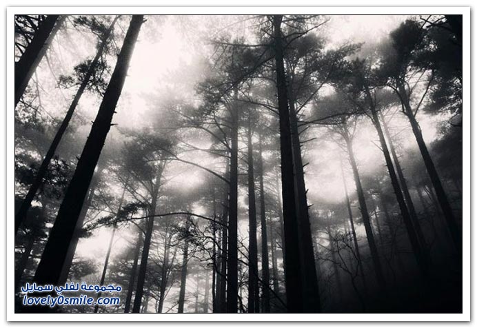 صور منوعة