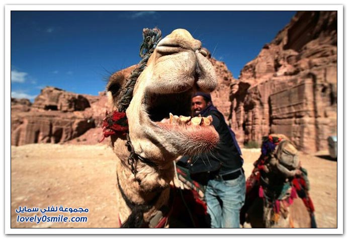 صور منوعة