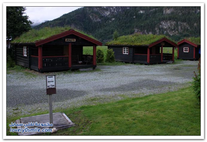 صور زراعة أسقف المنازل في النرويج