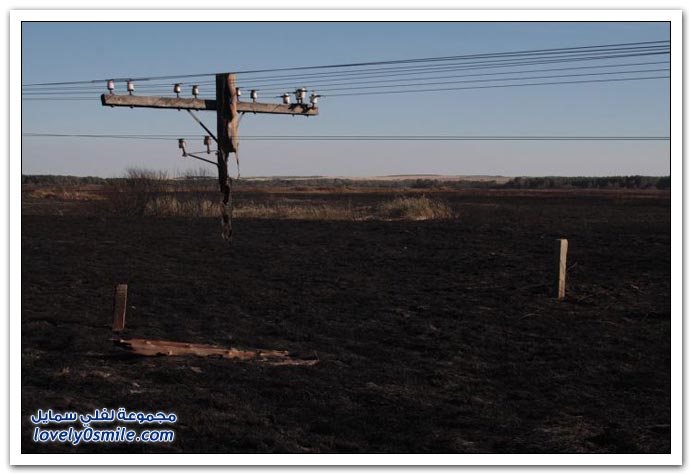 صور أحد نتائج الحرائق في روسيا