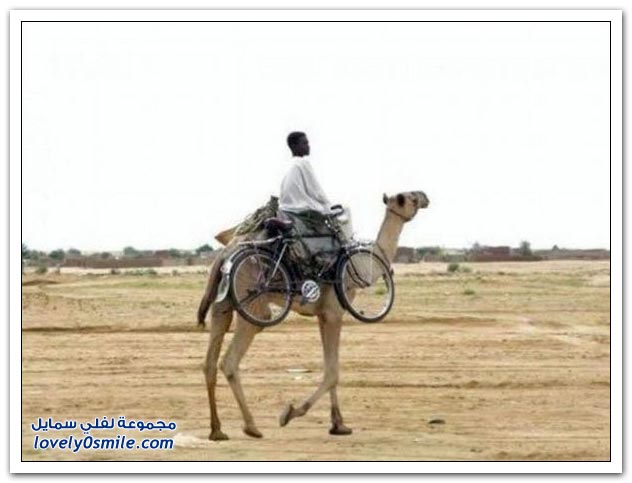 صور منوعة 184