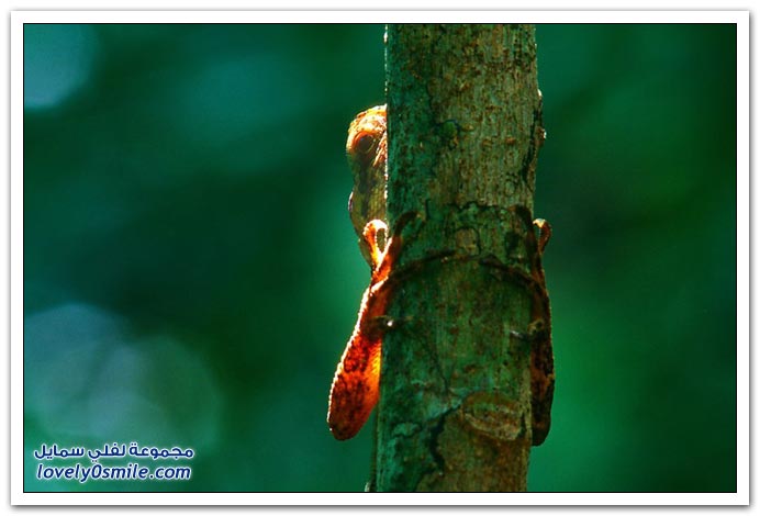 صور منوعة 190
