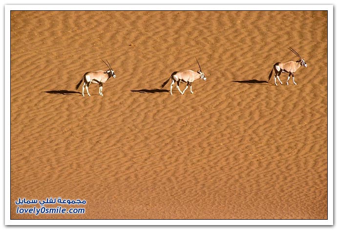 صور منوعة 190