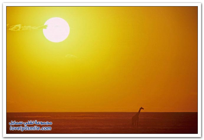 صور منوعة 190