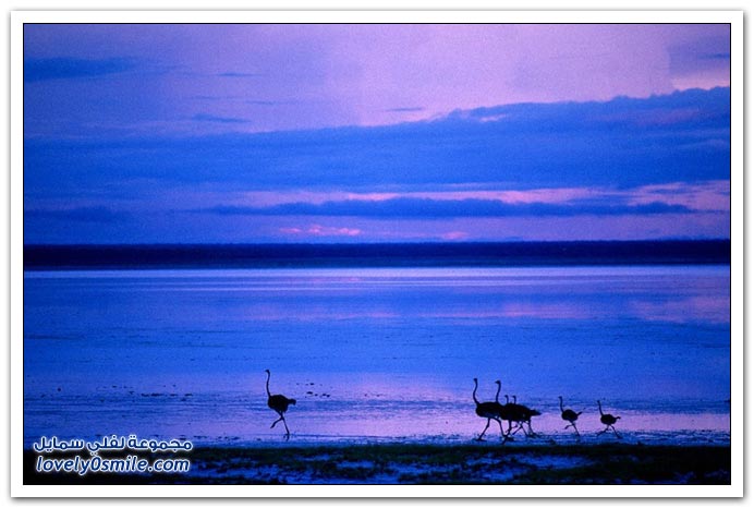 صور منوعة 190