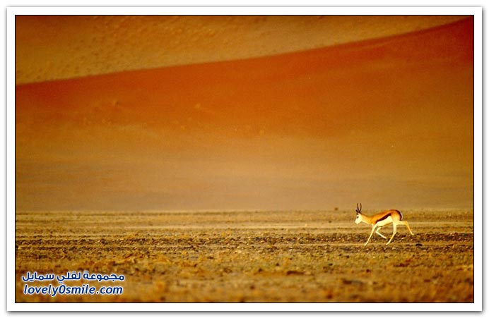 صور منوعة 190