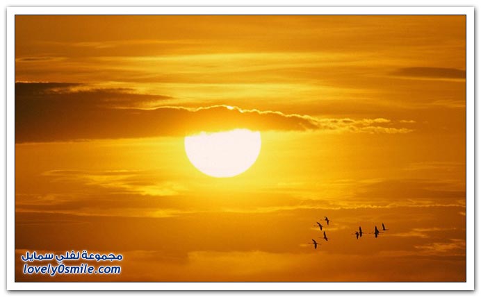 صور منوعة 190