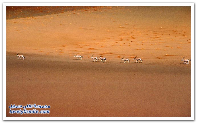 صور منوعة 190