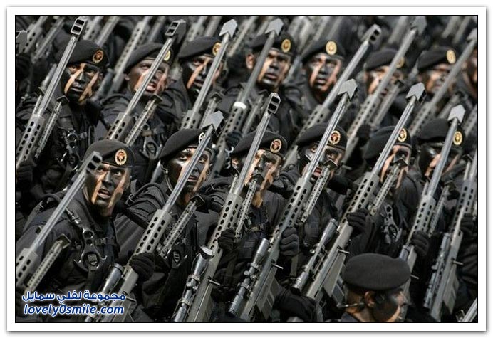 صور متماثلة