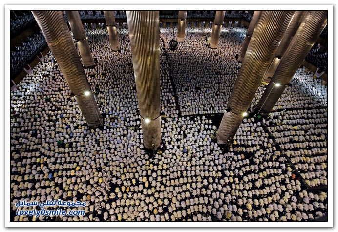 صور متماثلة
