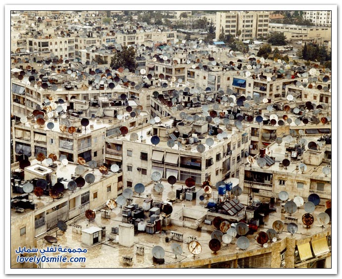 صور متماثلة