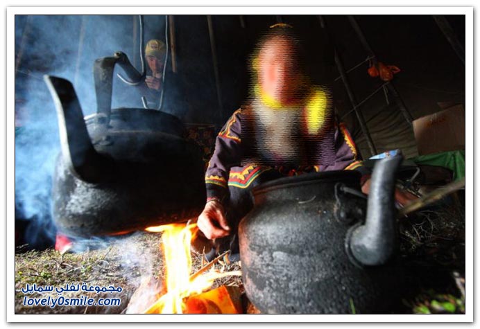 صور من حياة الرعاة في سيبيريا