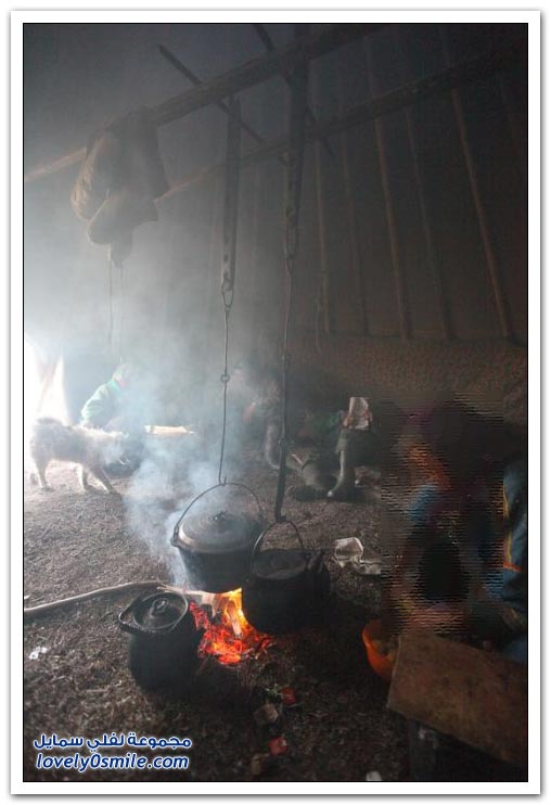 صور من حياة الرعاة في سيبيريا