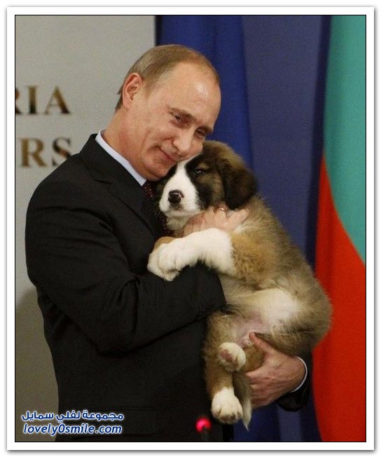 فلاديمير بوتين وحبه للحيوانات
