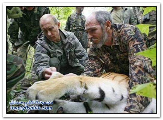 فلاديمير بوتين وحبه للحيوانات