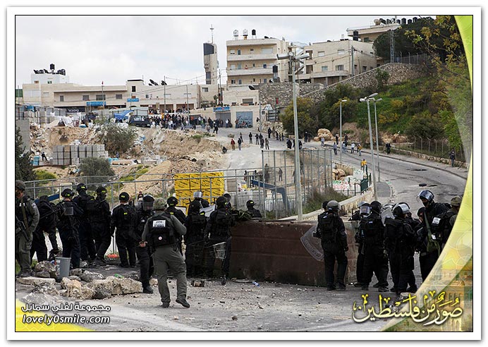 صور من فلسطين 12