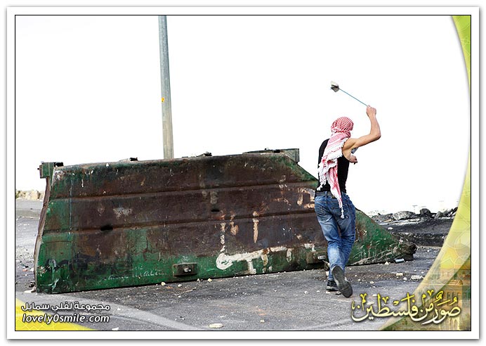 صور من فلسطين 12