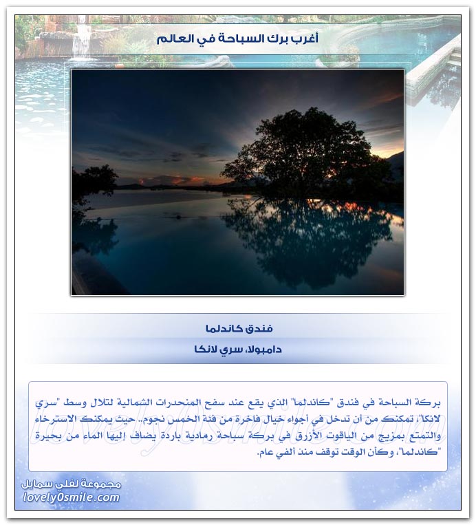 أغرب برك السباحة في العالم