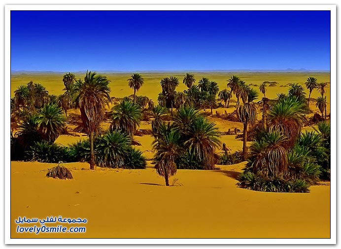 ليبيا معلومات وصور