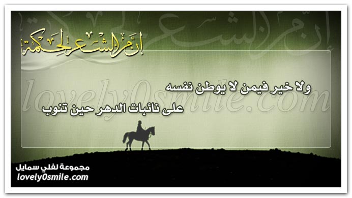 ولا خير فيمن يوطن نفسه على نائبات الدهر حين تنوب