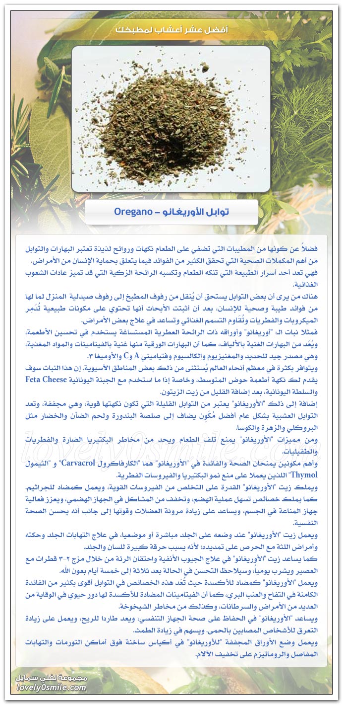 أفضل عشر أعشاب لمطبخك