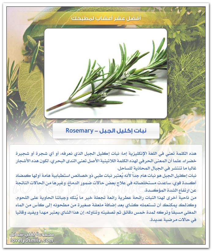 أفضل عشر أعشاب لمطبخك
