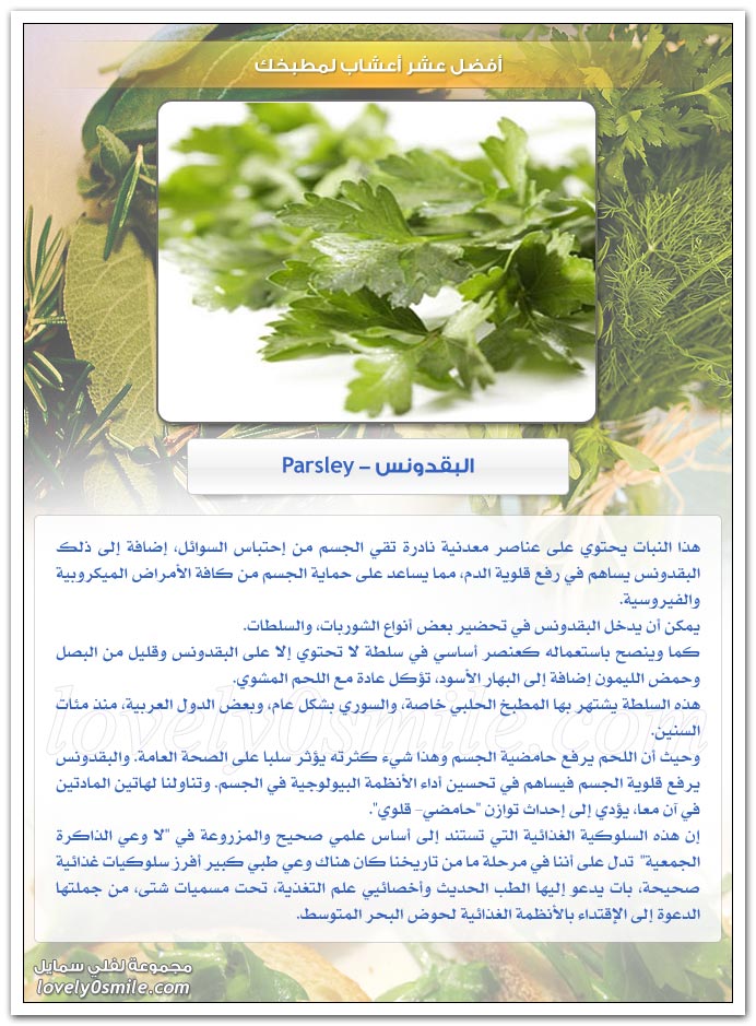 أفضل عشر أعشاب لمطبخك