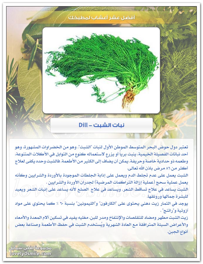 أفضل عشر أعشاب لمطبخك