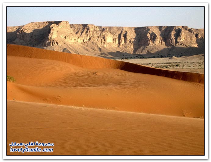 المملكة العربية السعودية معلومات وصور ج1