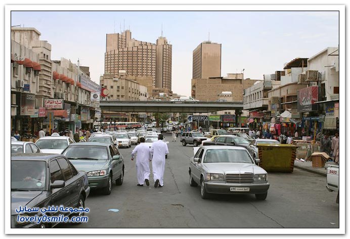 المملكة العربية السعودية معلومات وصور ج1