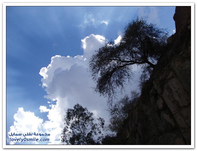 المملكة العربية السعودية معلومات وصور ج1