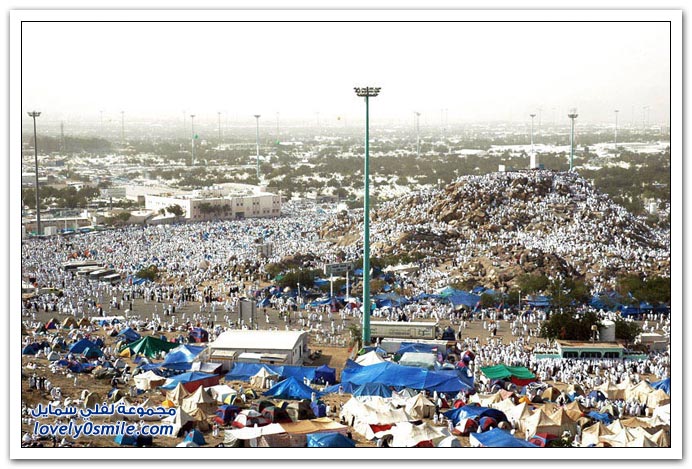 المملكة العربية السعودية معلومات وصور ج1