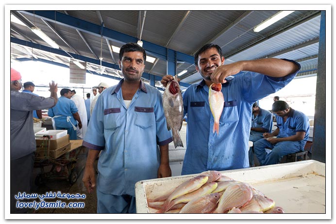 صور من سوق السمك واللحوم في دبي