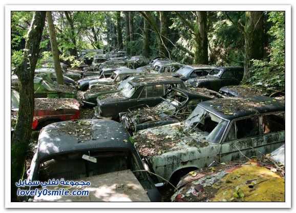 غابات مقبرة السيارات