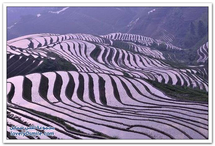 Image result for ‫مدرجات الجبال في الصين‬‎