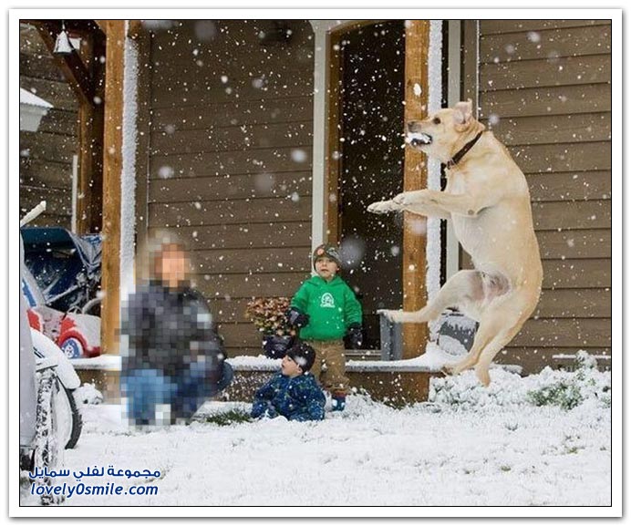 صور لحظة من الوقت ج6