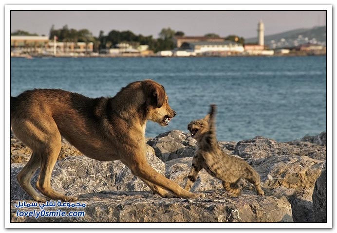 صور لحظة من الوقت ج6