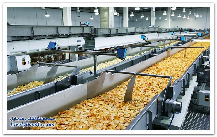مصنع بطاطس ( شبس ) في روسيا
