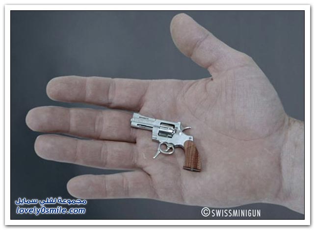أصغر مسدس في العالم