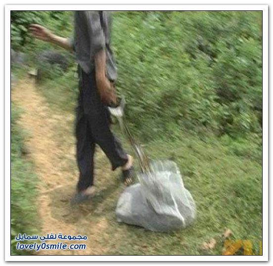 صياد ثعابين يتعرض للهجوم من ثعبان