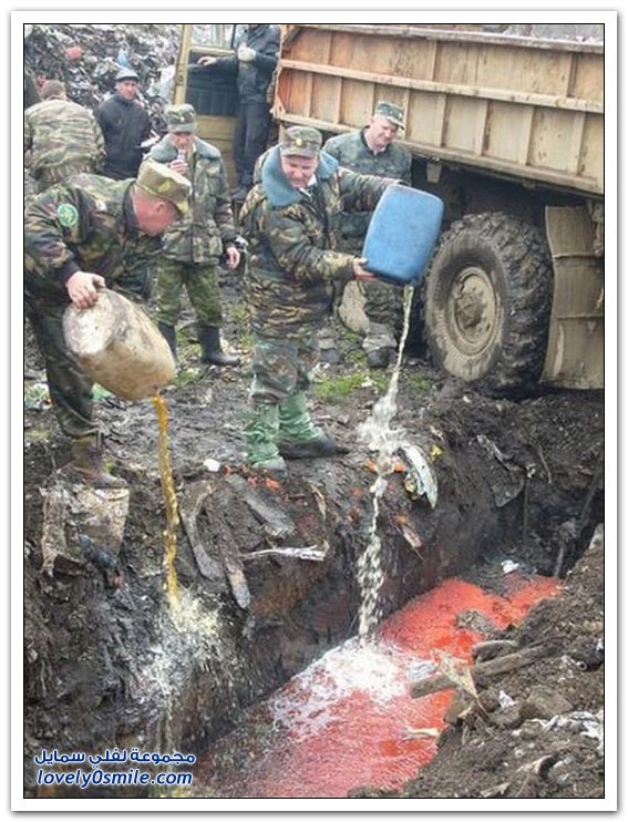 تدمير الكافيار الأحمر المهرب في روسيا